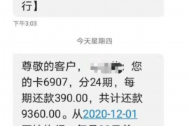 杨丽凤上门讨债：揭示民间借贷的风险与应对